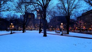 Winter Evening in Rice Park