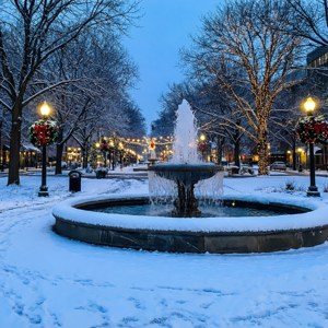 Winter Evening in Rice Park