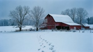 Winter Farm Snow