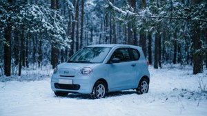 Winter Forest Chery QQ