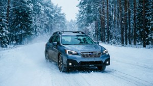 Winter Forest Drive