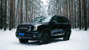 Winter Forest Retreat