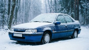Winter Frost