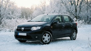 Winter Frost