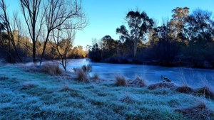 Winter Frost at Mungabareena