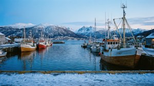 Winter Harbor Bliss