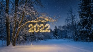 Winter Lights 2022