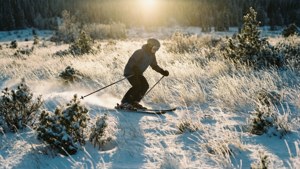 Winter Meadow Glide