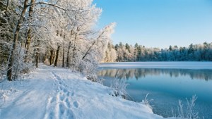Winter Morning Lake
