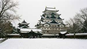 Winter Nagoya Castle