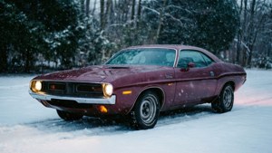 Winter Night Glow