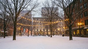 Winter Rice Park