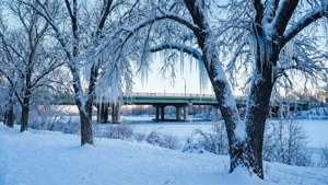 Winter Riverdale Park