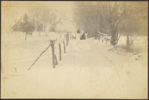 [Winter Road]
