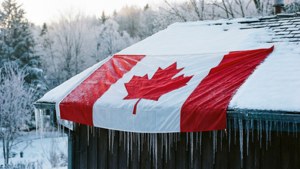 Winter Roof Flag