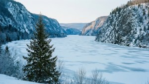 Winter Serenity