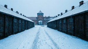 Winter Silence at Birkenau
