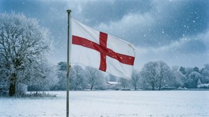 Winter Snow Flag