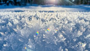 Winter Snow Glint