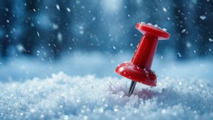 Winter Snow Pin