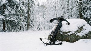 Winter Solitude