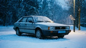 Winter Solitude