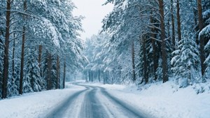 Winter Solitude