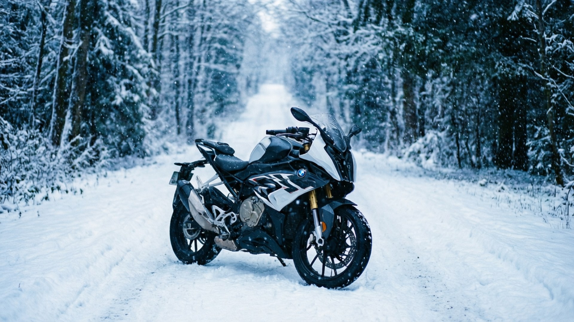 Winter Solitude G310RR by Wallpapers.art Studio