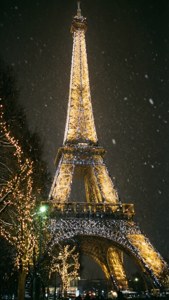 Winter Sparkle Night