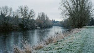 Winter Stillness