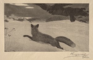 Winter, the Fox Hunt