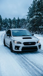 Winter White