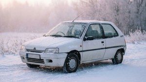 Winter White AX