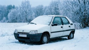Winter White AX