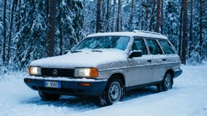 Winter White MG