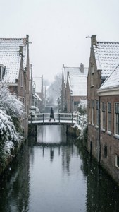 Winter Whiteness