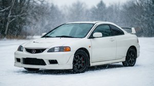 Winter Whiteout