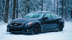 Winter Whiteout