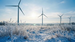 Winter Wind Pioneers