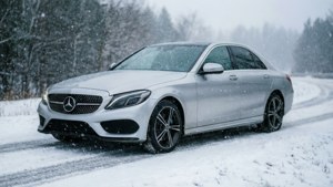 Winter Wonder