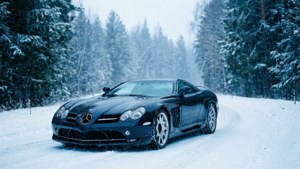 Winter Wonder Exelero