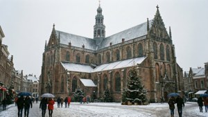 Winter Wonderland