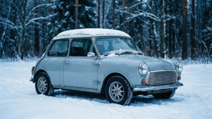 Winter Wonderland