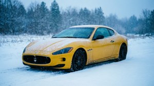 Winter Wonderland