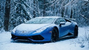 Winter Wonderland