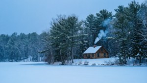 Winter Wonderland