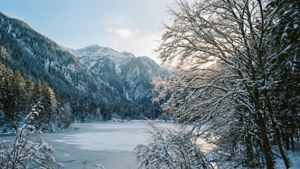 Winter Wonderland