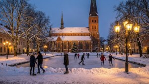 Winter Wonderland