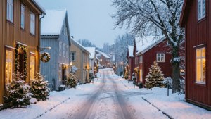 Winter Wonderland