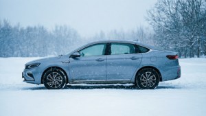 Winter Wonderland